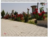 Malatya Fethiye Köyündeki Mezarlıklardaki Çevre Düzenlemesi ve Bakımı